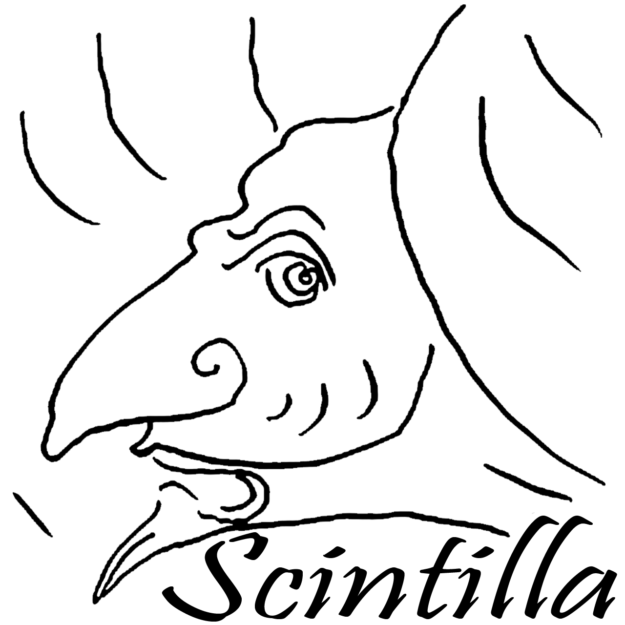 associazione scintilla